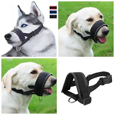 Зоотовары: Продаю игрушку/когтеточку/лежанку 3в1,с кошачей мятой,вашему котику at lalafo.kg — 10 Зоотовары: Продаю игрушку/когтеточку/лежанку 3в1,с кошачей мятой,вашему котику — 10