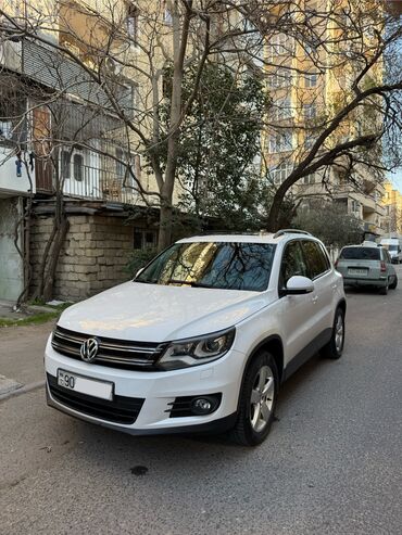 фольксваген бак: Volkswagen Tiguan: 2 л | 2011 г. Внедорожник