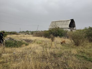 дом кочкор: 5 соток, Курулуш, Кызыл китеп