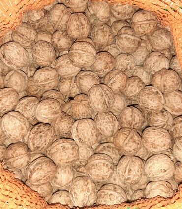 Сухофрукты, орехи, снеки: Продаю Орехи Грецкие г.Кант