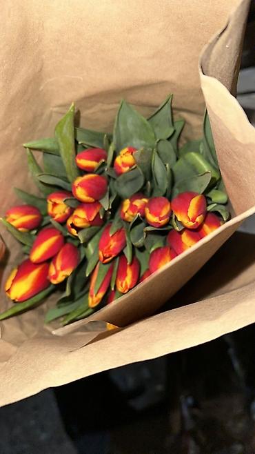 Букеты из живых цветов: Букеты тюльпанов - Срезанные тюльпаны в крафтовой и белой бумаге — 1