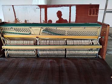 xudu saz evi: Pianino – şaquli, 3 pedal, klassik ağac korpus - Korpus: cilalanmış — 4