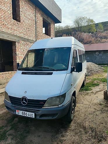 Mercedes-Benz: Mercedes-Benz Спринтер: 2002 г., Дизель, Бус — 2