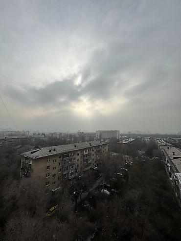 Долгосрочная аренда квартир: 1 комната, Агентство недвижимости — 8