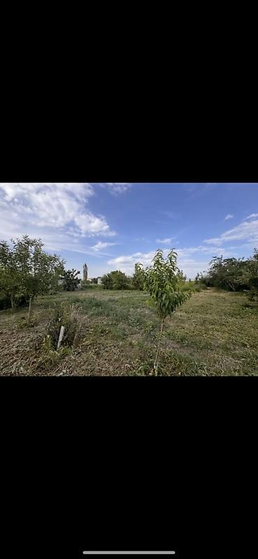 Продажа участков: 14 соток, Для сельского хозяйства, Договор купли-продажи — 3