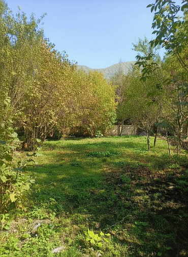 Torpaq sahələrinin satışı: 10 sot, Tikinti, Barter mümkündür, Kupça (Çıxarış) -da lalafo.az — 1 Torpaq sahələrinin satışı: 10 sot, Tikinti, Barter mümkündür, Kupça (Çıxarış) — 1