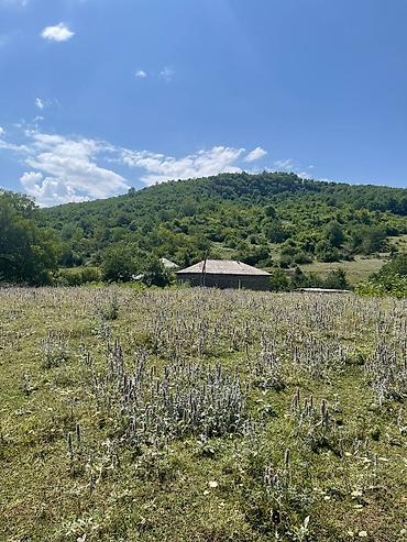 Torpaq sahələrinin satışı: 12 sot, Tikinti, Mülkiyyətçi, Kupça (Çıxarış), Bələdiyyə, Texniki pasport — 9