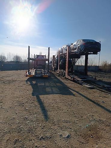 Тягачи: Тягач, Renault, 2010 г., Автовоз — 10