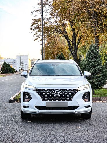 Hyundai: Hyundai Santa Fe: 2018 г., 2 л, Автомат, Бензин, Внедорожник