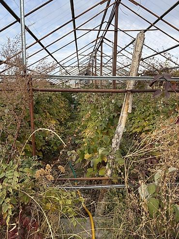 с садовое: Продаю участок 12 соток сельхоз назначение свет вода имеется можно — 1