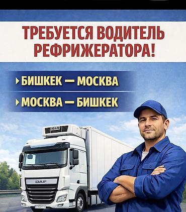 ищу дистрибьютора: Вакансия: Водитель Рефрижератора Маршруты: - Рейсы Бишкек – Москва и — 1