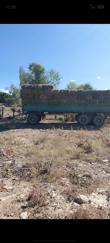телки на забой: Сено в тюках (прямоугольные кипы) - Заготовлено на луговых угодьях; — 1