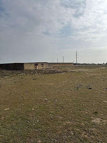 İcarəyə binalar: Torpaq sahəsi icarəyə verilir. Hövsan qəsəbəsində yerləşən ferma — 10