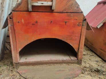 Yuvalar: It yuvasi bir ededi 20 az -da lalafo.az — 2 Yuvalar: It yuvasi bir ededi 20 az — 2