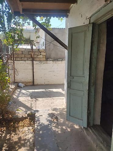 alatava 2: Obyekt tam senedli kubca. 32 kv.yun pambiq darama sexi kimi fealiyyet — 2