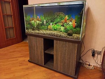 sessiz kompresör: Dördbucaq akvarium, Balıqlarla birlikdə, 300 l, Ünvandan götürmə — 5