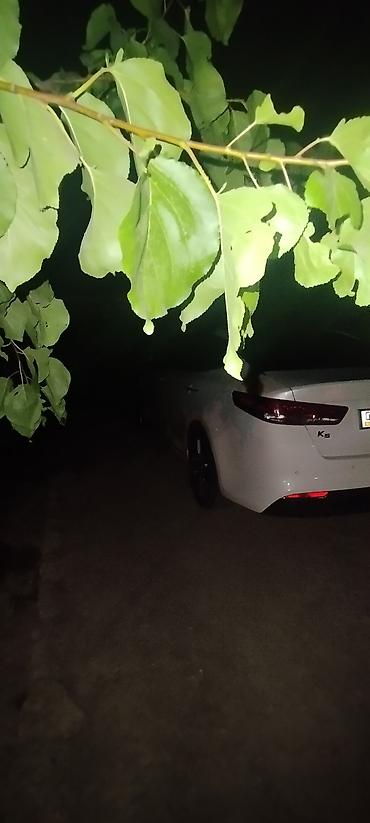 соната генератор: Kia K5: 2017 г., 0.2 л, Автомат, Бензин, Седан — 5