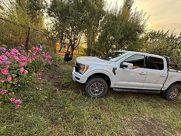 на пикап: Ford F-150: 2021 г., 3.5 л, Автомат, Бензин, Пикап — 2