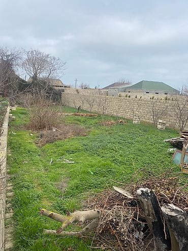 şuvalan: 5 sot, Biznes üçün, Mülkiyyətçi, Kupça (Çıxarış) — 4