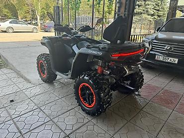 Квадроциклы: Квадроцикл CFMoto, Бензин, 1000 куб. см, Взрослый — 2