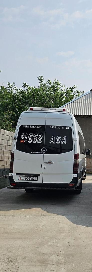 Mercedes-Benz: Mercedes-Benz Спринтер: 2007 г., Бус — 4