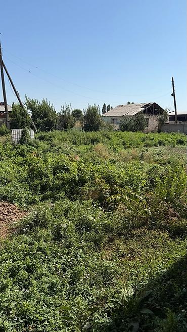 участка кант: 31 соток, Для строительства, Красная книга, Тех паспорт — 2