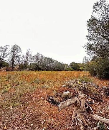 Продажа участков: 22 соток, Красная книга — 1