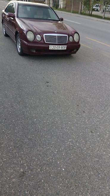 фольксваген поло л с: Mercedes-Benz E-Class sedan (W210), tünd bordo rəng. - Kuzov: 4 qapılı — 4