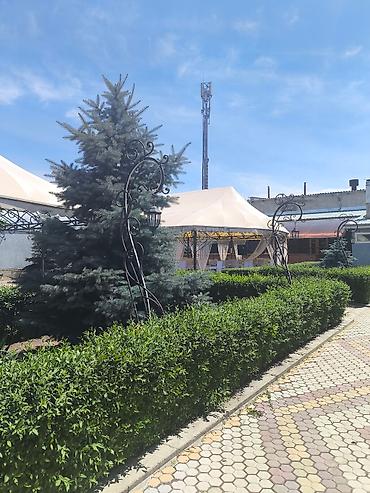 Продажа помещений свободного назначения: Продаю помещения под бизнес в центре города Токмок. Участок 36 соток — 12