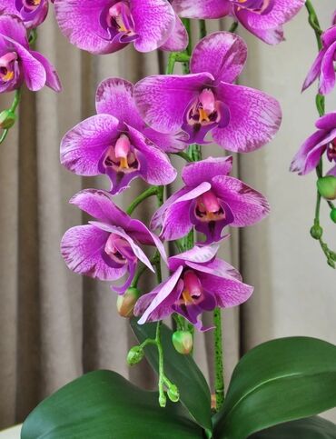 Декоративные цветы: Орхидея искусственная для декора в керамическом горшке Орхидея — 9