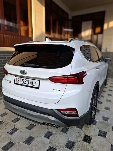 аудбек 2018: Hyundai Santa Fe: 2018 г., 2 л, Автомат, Дизель, Кроссовер — 10