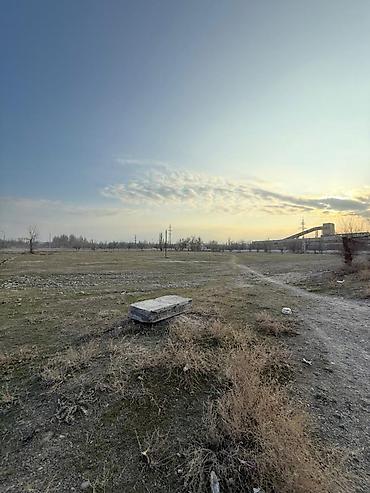 токмак: 280 соток, Для бизнеса, Красная книга — 7