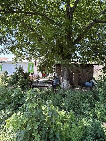 Жер тилкелери: 9 соток — 8