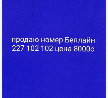 колонка машина: Продаётся красивый и легко запоминающийся номер Beeline: 227 102 102