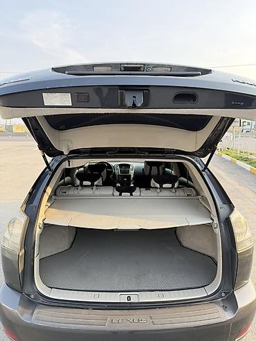Lexus: Lexus RX: 2004 г., 3.3 л, Кроссовер — 6
