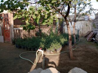 Həyət evləri və villaların satışı: Balaxanı qəs. 4 otaqlı, 200 kv. m, Kredit yoxdur, Orta təmir -da lalafo.az — 6 Həyət evləri və villaların satışı: Balaxanı qəs. 4 otaqlı, 200 kv. m, Kredit yoxdur, Orta təmir — 6