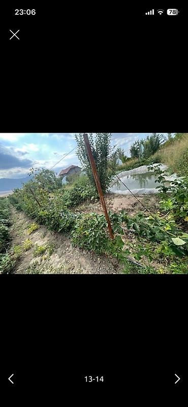 Теплицы: Тепличный комплекс каркасного типа - Арочные теплицы на металлическом — 13