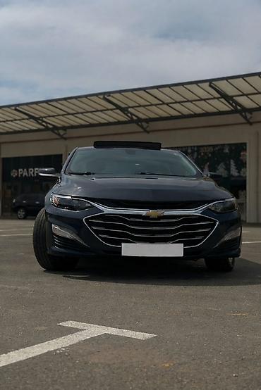 Chevrolet: Chevrolet Malibu: 1.5 l | 2019 il 125000 km Sedan — 7