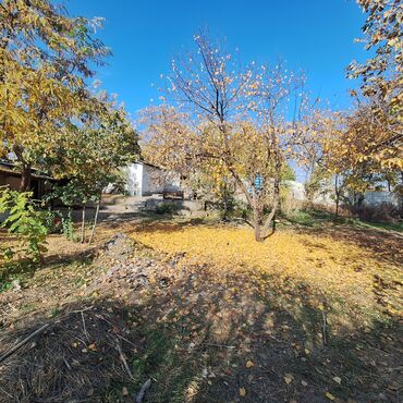 container house дома из контейнеров бишкек, контейнеры в бишкеке фото: 9 соток, Кызыл китеп