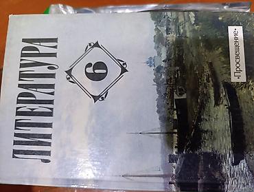 Русский язык и литература: Русская литература, 5 класс, Б/у, Самовывоз — 3