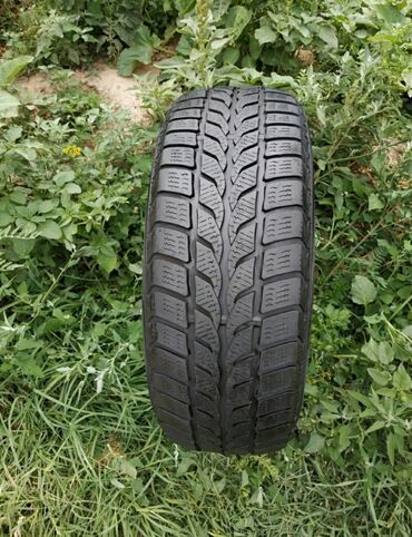 форсунки опель инсигния дизель: Шиналар 205 / 55 / R 16, All-season, Колдонулган, 1 даана, Жеңил унаалар, Германия, Dunlop