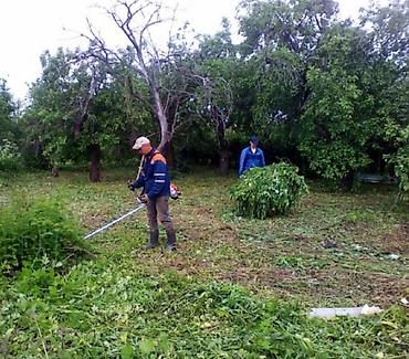 Другие товары для дома и сада: Услуги Садовника Стрижка живой изгороди Уборка дикой травы Покос at lalafo.kg — 21 Другие товары для дома и сада: Услуги Садовника Стрижка живой изгороди Уборка дикой травы Покос — 21