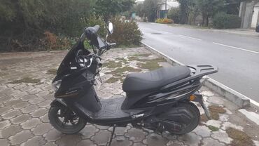 Скутеры: Сдаю Скутер MotoPark/МотоПарк (надпись на облицовке) — 9