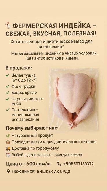төшөк жууркан: Күрп :, 10 кг ашык