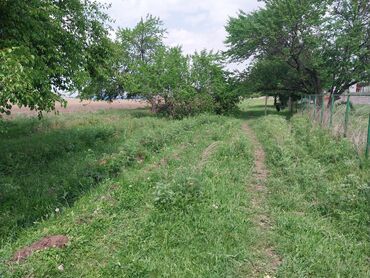 участок учкун: 5 соток, Кызыл китеп