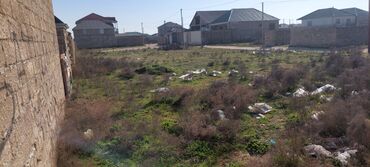 Torpaq sahələrinin satışı: 65 sot, Kənd təsərrüfatı, Mülkiyyətçi, Kupça (Çıxarış) — 9