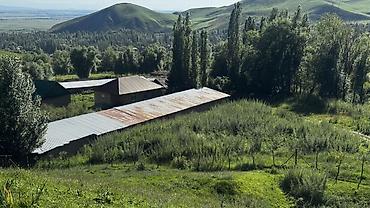 Продажа коттеджей и домов: 🏠Продается дом с участком • Баз для домашних животных (овец, коров и — 21