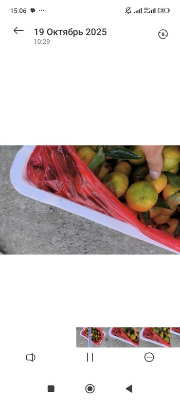 голубика бишкек цена: Мандарины оптом