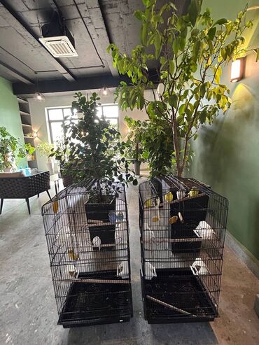 Продажа квартир: 3 комнаты, 104 м², Элитка, 10 этаж, Дизайнерский ремонт — 28