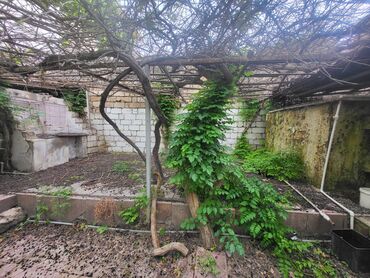 Bağ evlərinin satışı: Bakı, Bilgəh qəs., 200 kv. m, 6 otaqlı, Hovuzsuz, Artezian quyusu, Kanalizasiya, Qaz -da lalafo.az — 24 Bağ evlərinin satışı: Bakı, Bilgəh qəs., 200 kv. m, 6 otaqlı, Hovuzsuz, Artezian quyusu, Kanalizasiya, Qaz — 24